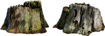 mossy tree stump 002 — Скачать