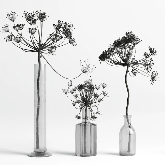 Bouquet Set 01 Vase Glass Dry Hogweed — Скачать