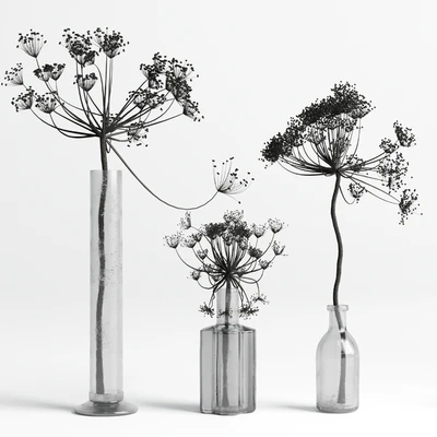 Bouquet Set 01 Vase Glass Dry Hogweed — Вид 1