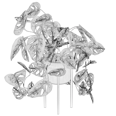 Plants collection 028 - Monstera monkey mask 02 — Ver 2