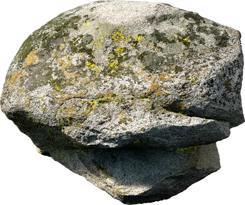 mossy forest boulder 004 — Скачать