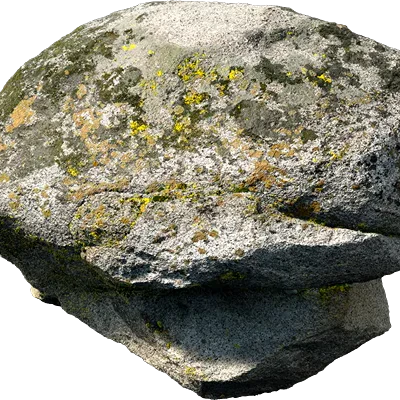 mossy forest boulder 004 — Скачать