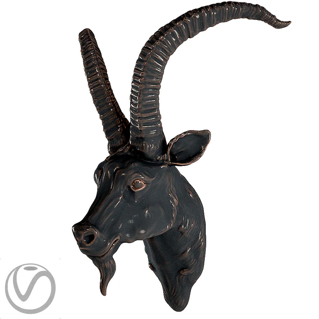 Head of a mountain goat — Descargar