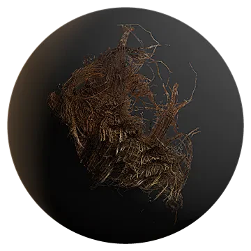 palm tree bark 001 — Descargar