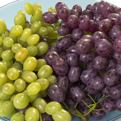 Bunches of grapes in a glass bowl — Ver 2