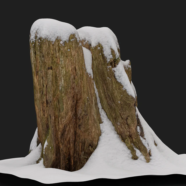 Stump under the snow — Descargar