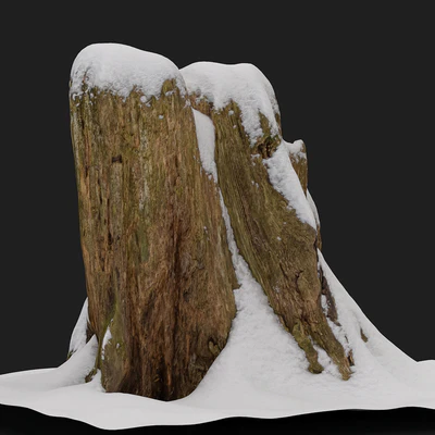 Stump under the snow — Ver 2