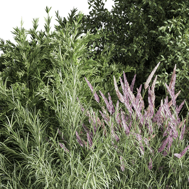 mixed plant and bush 01 — Descargar