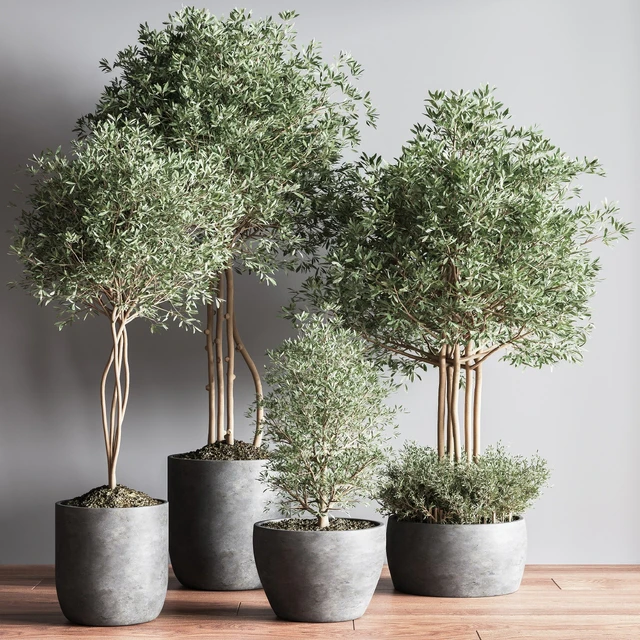 Indoor Plant Set12 — Скачать