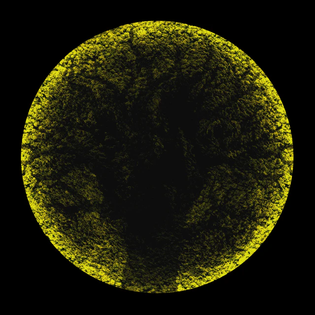 Moss wall tree — Descargar