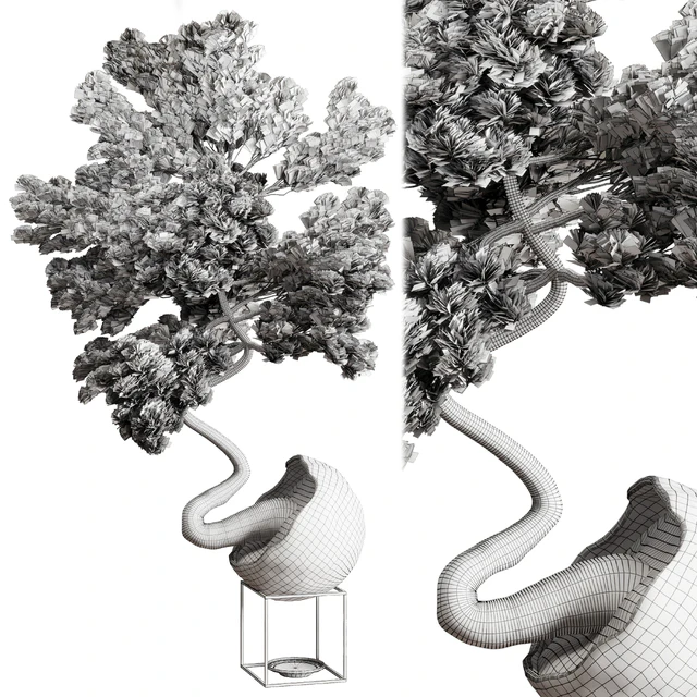 Bonsai 01 — Descargar