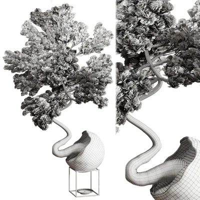 Bonsai 01 — Ver 4