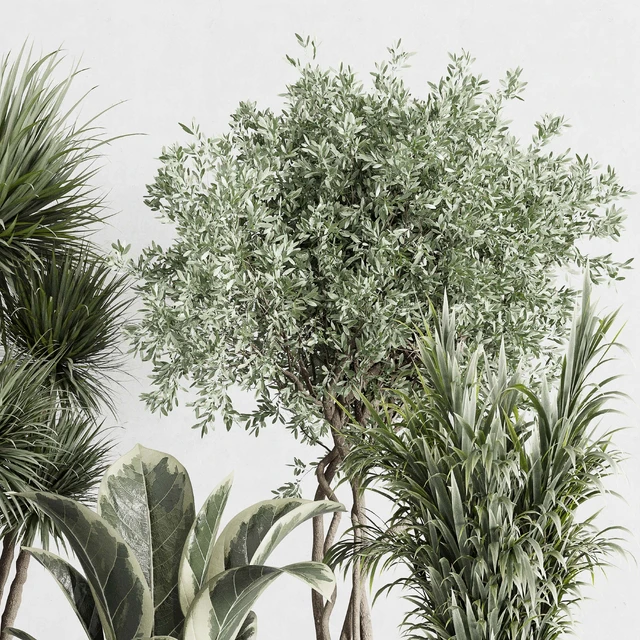indoor plant set 414 plant ficus elastica tree palm bush concrete vase — Скачать