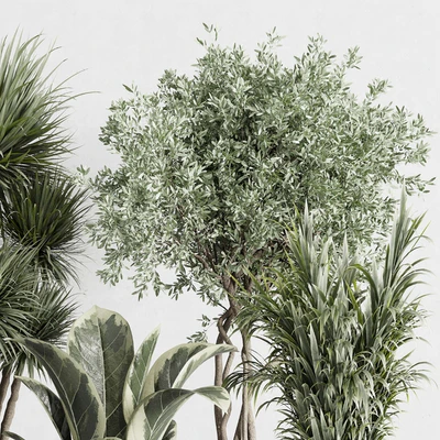 indoor plant set 414 plant ficus elastica tree palm bush concrete vase — Вид 2