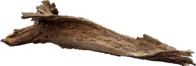 old tree branch 016 — Descargar