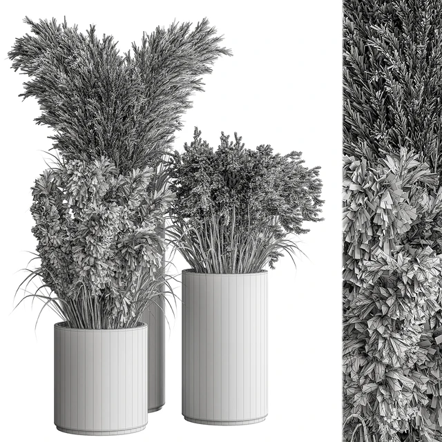 indoor Plant Set 406 - Dried Plant Set in Pot — Скачать