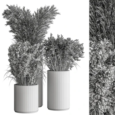 indoor Plant Set 406 - Dried Plant Set in Pot — Вид 2