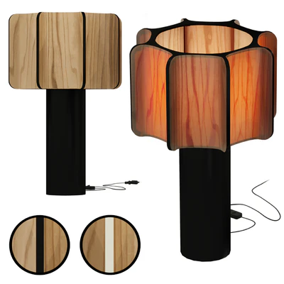 Table lamp KACTOS from LZF — Ver 1