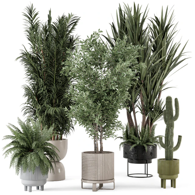 Indoor Plants in Ferm Living Bau Pot Large - Set 362 — Скачать