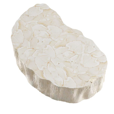 Palecek Camilla Fossilized Clam Coffee Table — Ver 4