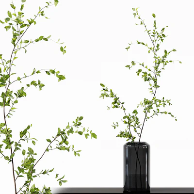 Collection Indoor Plants 015 — Ver 2