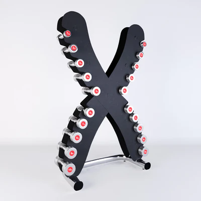 Life Fitness Set of chrome dumbbells with the X-shaped stand — Ver 1