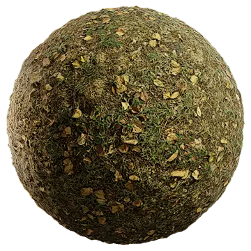 wild grass 044 — Descargar