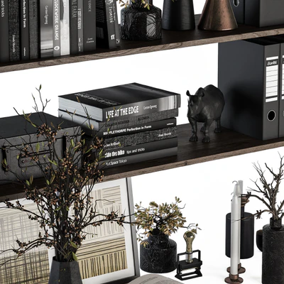 Decorative Set on Shelves and Decor objects — Ver 2