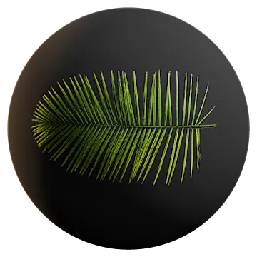 huge feather palm leaf 001 — Descargar