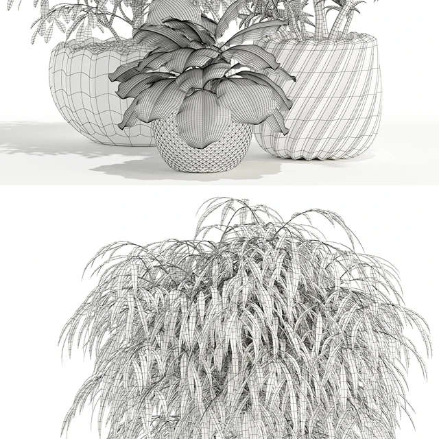 Plants collection 111 — Скачать