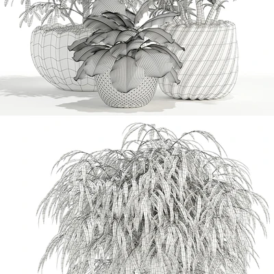 Plants collection 111 — Вид 2
