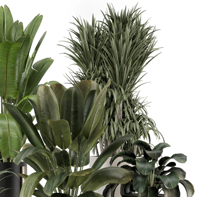 Indoor Plants in Ferm Living Bau Pot Large - Set 1947 — Download