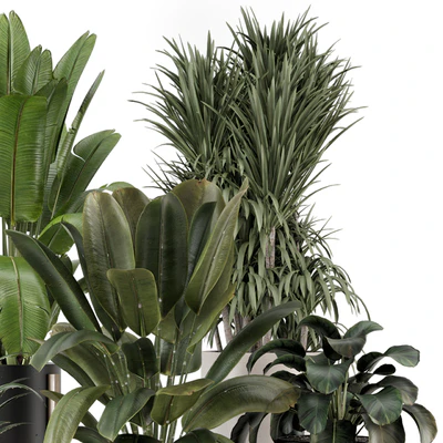 Indoor Plants in Ferm Living Bau Pot Large - Set 1947 — View 2
