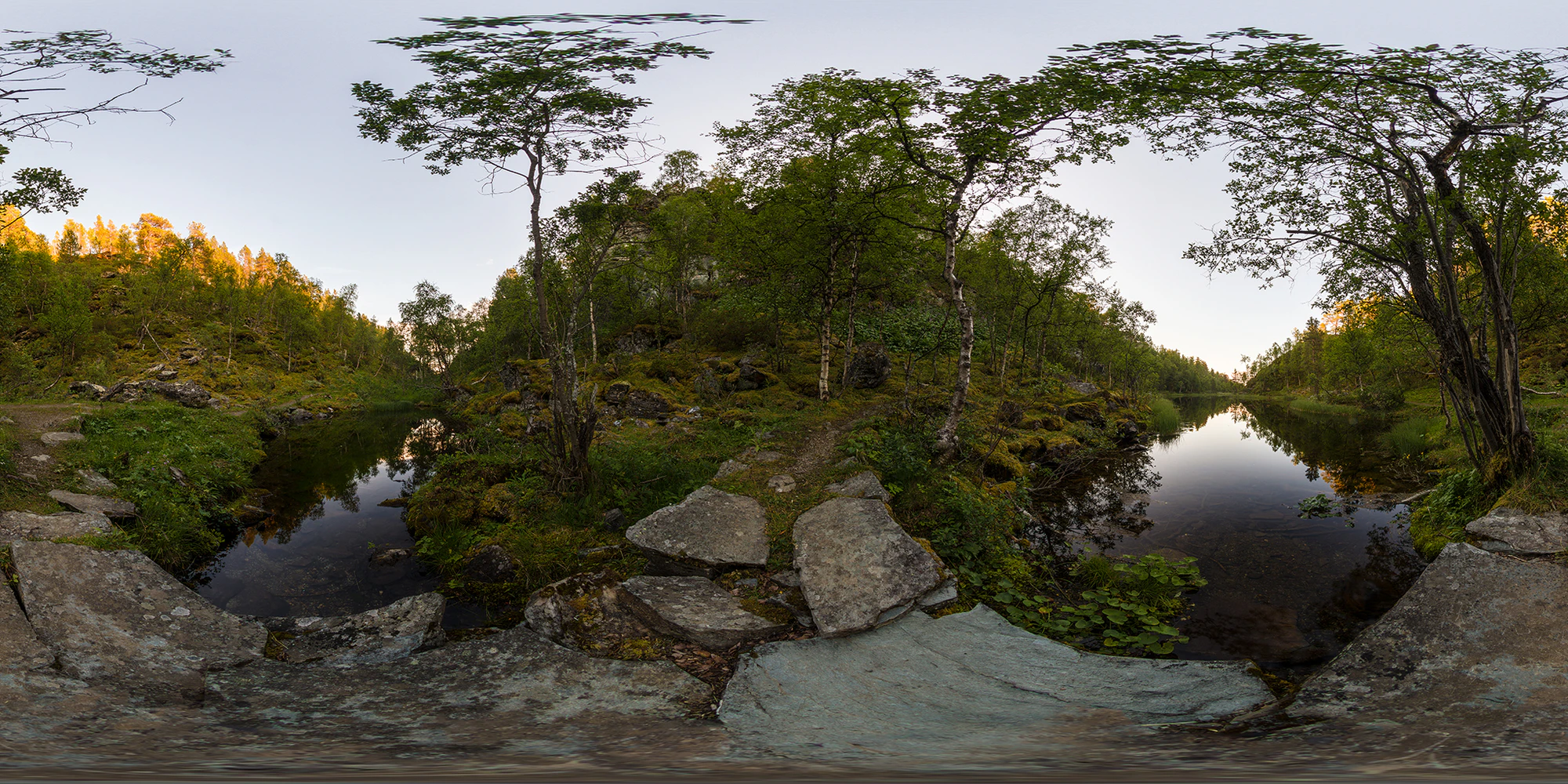 roros forest 2015 — Скачать