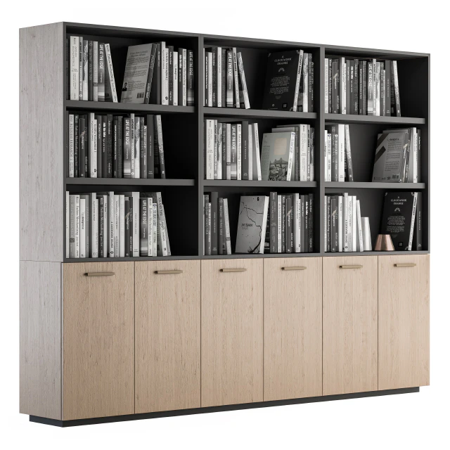 Simple Library with black and white Books — Скачать