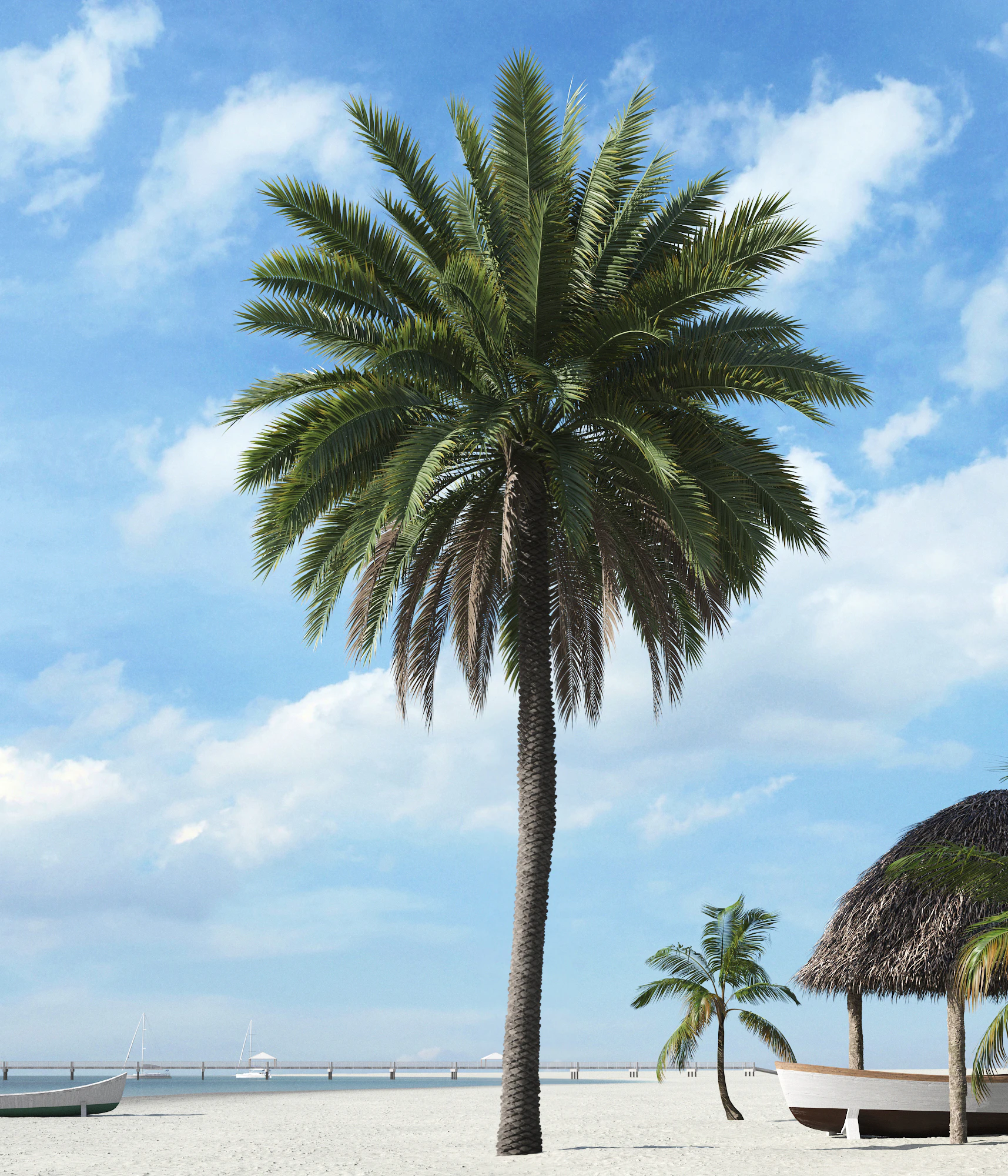 palm trees 016 — Скачать