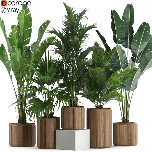 Plants collection 539 — Скачать