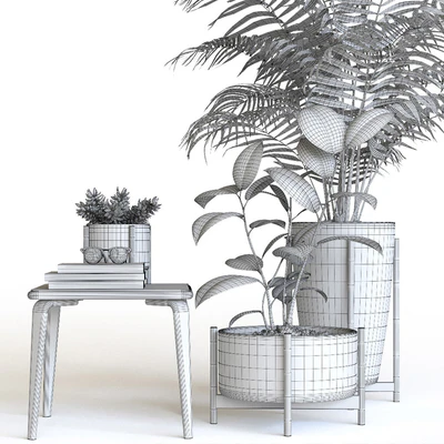 Plant set — Вид 2
