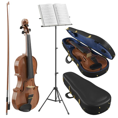 The Violin With Case — Вид 1