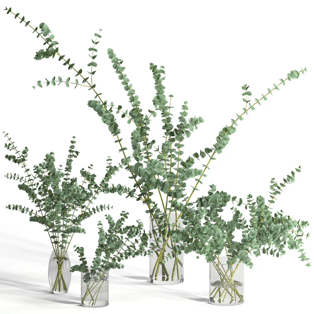 Eucalyptus Baby blue set — Download