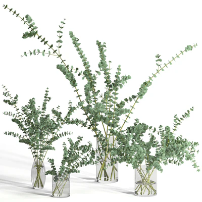 Eucalyptus Baby blue set — View 1