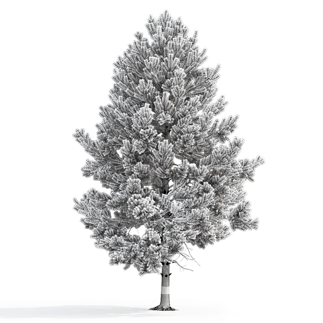 Pine — Скачать