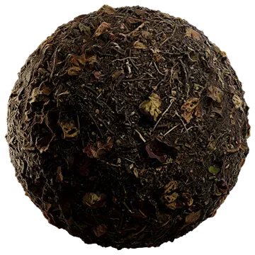 dried leaves and sticks 003 — Descargar