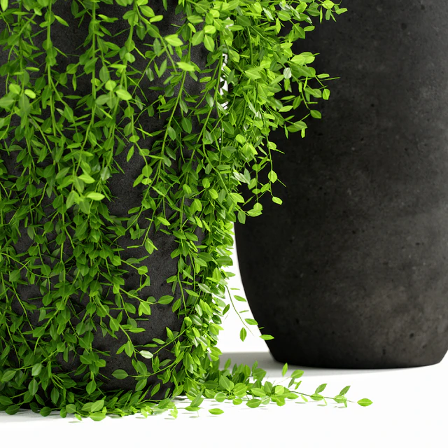 plants set 03 — Скачать