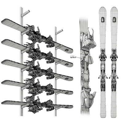 Skis Kit — Вид 2