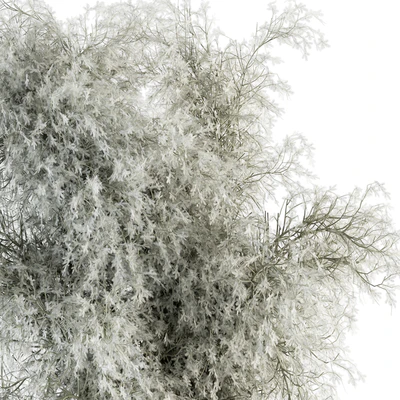 Bouquet - Green Branch in Concrete vase 79 — Ver 2