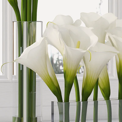 Calla Lily 5 — Ver 2