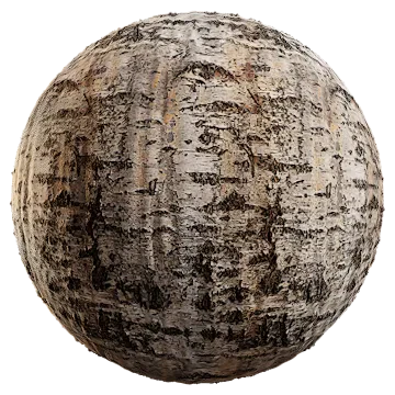 silver birch bark 006 — Descargar