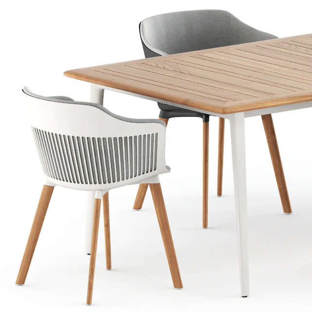 Aiir armchair and WA dining table by Dedon — Descargar