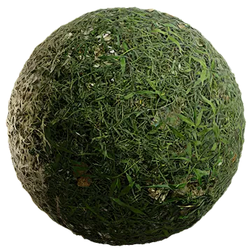 grass and rubble 003 — Descargar